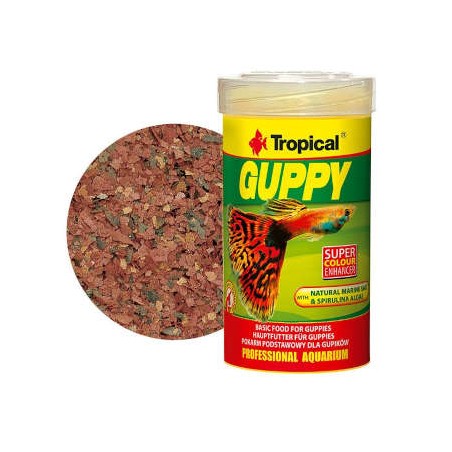Tropical - Guppy