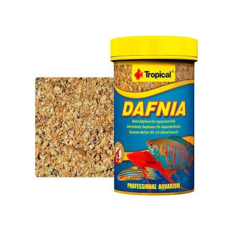 Tropical - Dafnia natural
