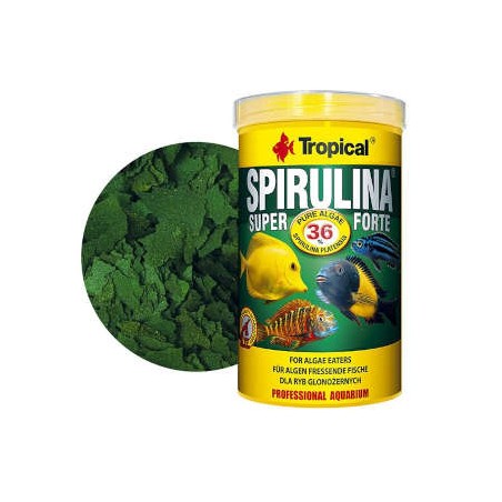 Tropical - Super Spirulina Forte 36%