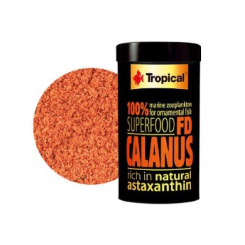 Tropical - FD Calanus
