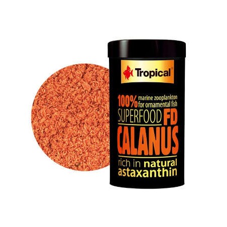 Tropical - FD Calanus