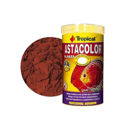 Tropical - Astacolor