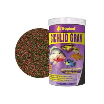 Tropical - Cichlid Gran