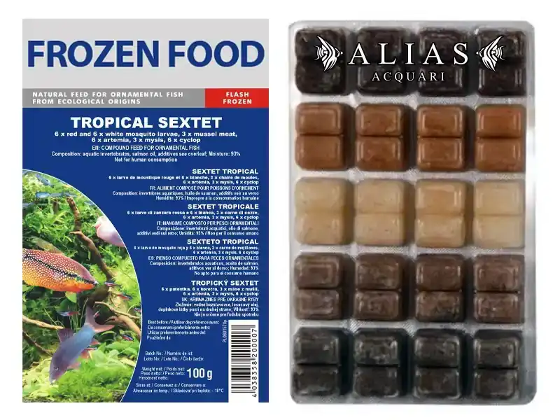 Tropical Sextet Frozen blister da 100 g