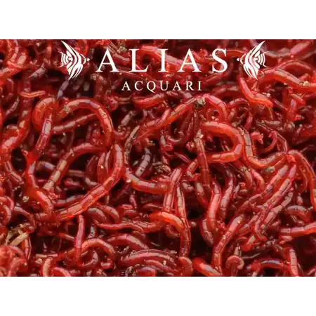 Red Mosquito Larvae (Bloodworms)